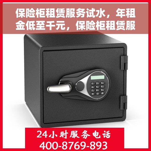 保险柜租赁服务试水，年租金低至千元，保险柜租赁服务兴起，千元年租轻松保障财产安全